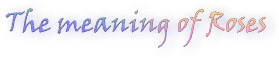 image3.gif (5704 bytes)